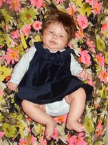 красавица моя)