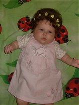 в божьих коровках