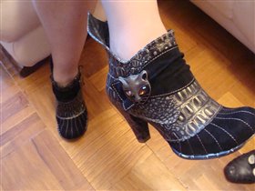 Кошечки о Shes