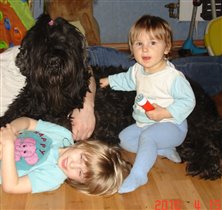 Мама щенков Джерри с моими дочками
