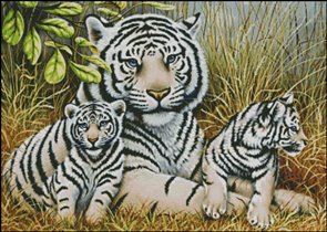 Семейство белых тигров