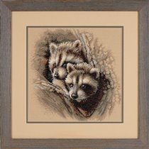 35253C Two Racoon Cub