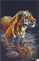 Тигр 1
