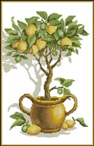 Лимонное дерево 1