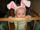 всех с2011  годом кролика!!!