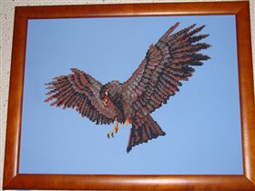 сокол - покровитель семьи соколовых