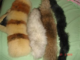 мех. опушки  хвоста нет