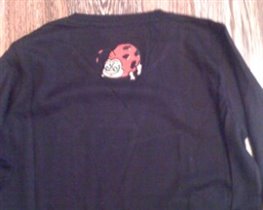 вид сзади Божья коровка