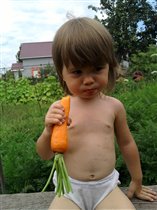 Я жую морковку с грядки !