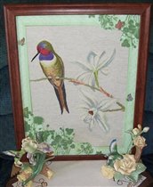 Колибри и орхидеи