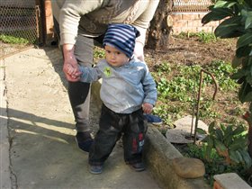 на даче.. осмотр территории