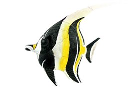 Moorish-Idol-Fish