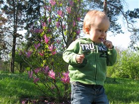 Попробую магнолию на вкус)