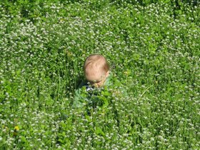 Найдите меня)