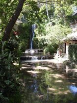 водопад. ботанический сад