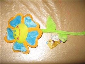 Новый цветок, стебель гнется.