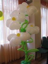 Ромашка в человеческий рост :)