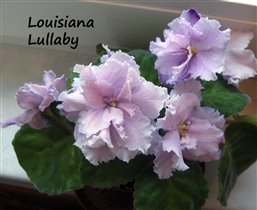 Louisiana Lullaby