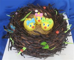 Торт Гнездо с птенцами
