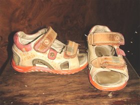 р.24 Котофеи