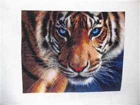 Кастом Крафтс 'Голубые глаза'