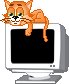 Кот на компьютере