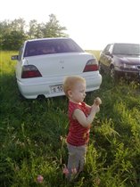 Собираю землянику