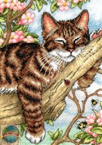 65090 Napping Kitten