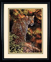 35209 Leopard's Gaze