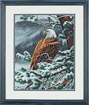 35117 Eagle's Eye View