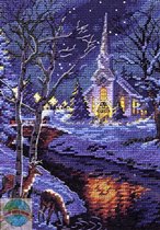 08677 Splendor at Night