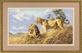 03866 African Lions