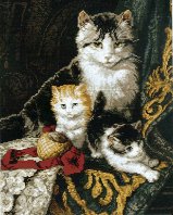 03818 Captivating Felines