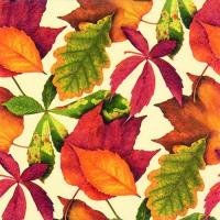 Осенние листья на бежевом