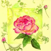 Очаровательная роза