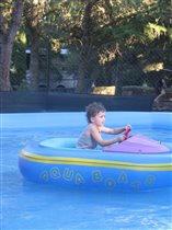 Ромашка рассекает по волнам бассейна