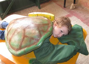 Малая черепашка, по имени Ромашка :)