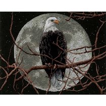 13688 Eagle in moonlight