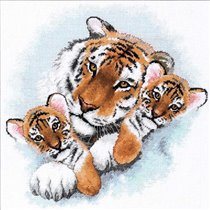 13695 Siberian snuggle