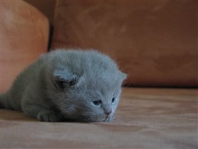 Открыто резервирование