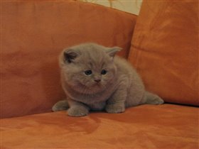 Нам уже четыре недели (Eddie)