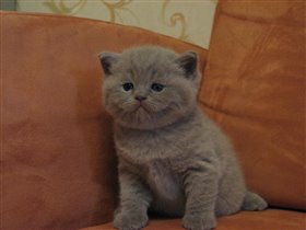 Как интересно все вокруг