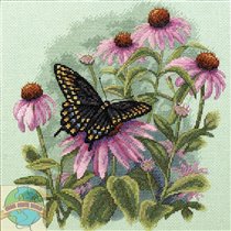 35249 Butterfly & Daisies