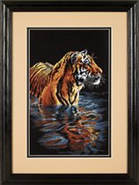 35222 Tiger Chilling Out