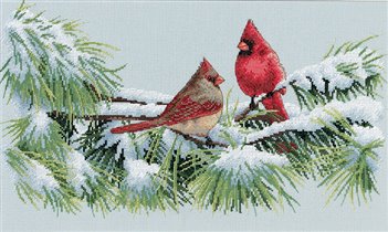 35178 Winter cardinals