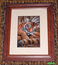 Cozy Cub (Dimensions)