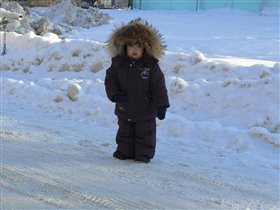 Где в районе Северного полюса