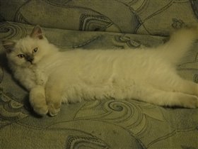 Эрни - уже 4 месяца. 