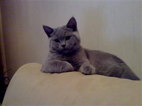 Удивительное сходство с папой