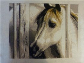 белый жеребенок 32,5x25,5  мулине мадейра